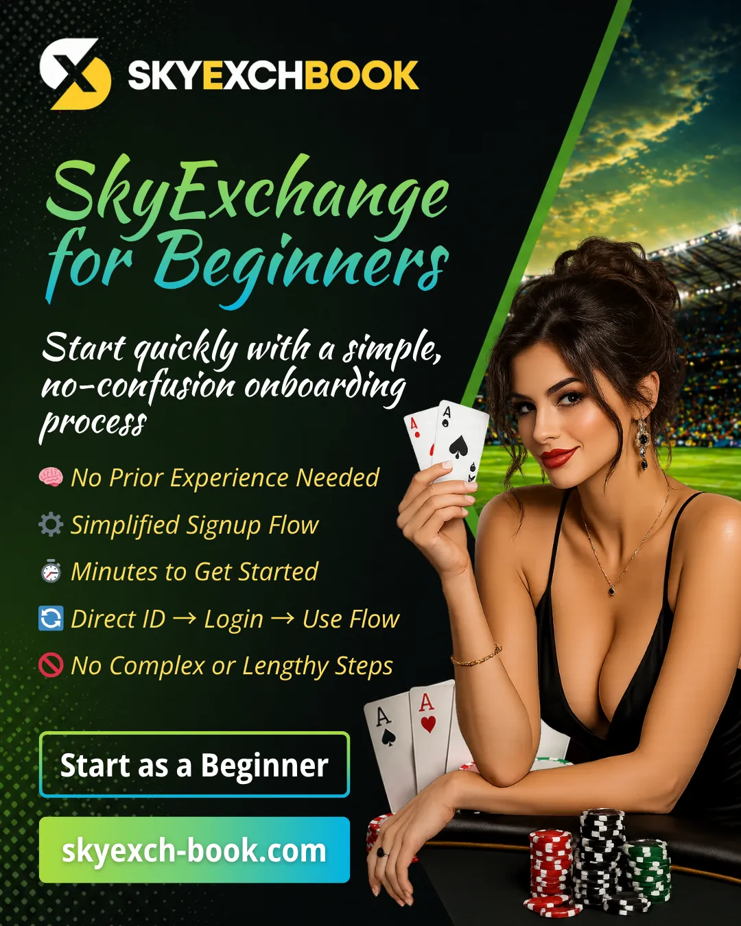 SkyExchange Beginners